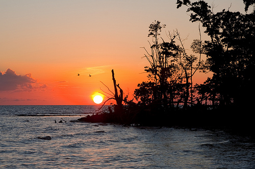 Национальный Парк Эверглейдс (Everglades)